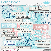 DELICE BEACH WORD ART