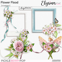 Flower Flood : Clusters