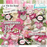 La Vie En Rose Kit by JB Studio