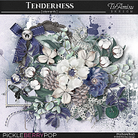 Tenderness~ Basic Kit 