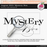 August 2021 Mystery Box