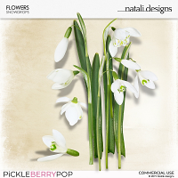 CU Flowers Snowdrop