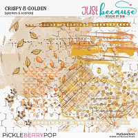 Crispy & Golden Splatters & Scatters by JB Studio