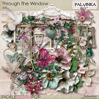 Through The Window Kit