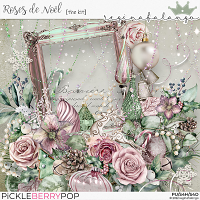 ROSES DE NOEL THE KIT