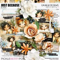 Just Because - full kit