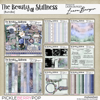 The Beauty of Stillnes: BBD Bundle