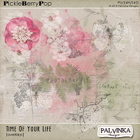 Time Of Your Life Overlays