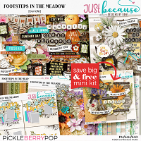 Footsteps in the Meadow Bundle by JB Studio