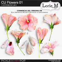 CU Flowers 01