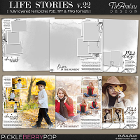 Life Stories Templates vol.22 November