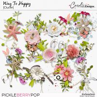 Way to Happy-Clusters