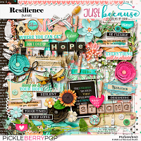 Resilience Kit by JB Studio