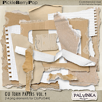 CU Torn Papers Vol.4