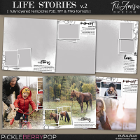 Life Stories  Templates vol.2