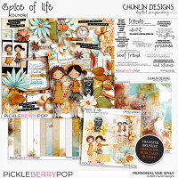 Spice of Life - bundle + FWP Transfer brushes