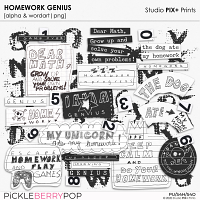 Homework Genius - Alpha and Wordart