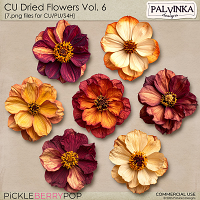 CU Dried Flowers 6