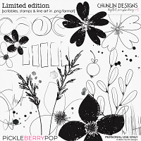 Limited edition - scribbles, stamps & line art in .png format