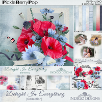 Delight In Everything Collection with FREE Overlays by Indigo Designs