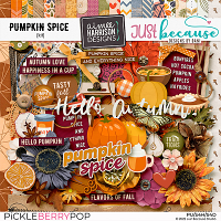 Pumpkin Spice Kit by JB Studio and Aimee Harrison Designs