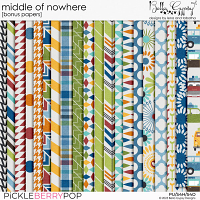 Middle of Nowhere Bonus Papers