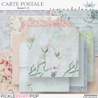 CARTE POSTALE PAPERS 1