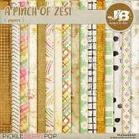 A Pinch Of Zest Papers by JB Studio