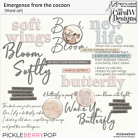 Emergence from the cocoon-Word art