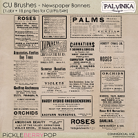 CU Brushes - Newspaper Banners