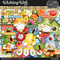 Wishing Well [Kit] by Cindy Ritter