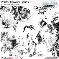 Winter Flowers (CU brushes + accents) pack 3