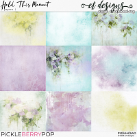 Hold This Moment Papers by et designs