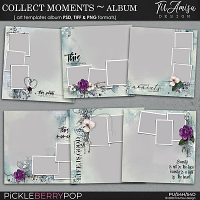 Collect Moments ~Templates Album by TirAmisu design 