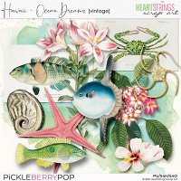 Hawaii – Ocean Dreams Vintage