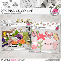 2019 iNSD CU Sampler