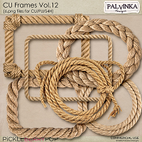 CU Frames 12