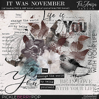 It Was November ~ brushes and word art by TirAmisu design 