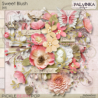 Sweet Blush Kit