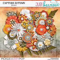 Capture Autumn Flowers by JB Studio