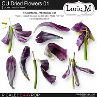 CU Dried Flowers 01