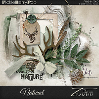 Natural ~ Basic Kit by Tiramisu design  