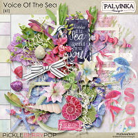 Voice Of The Sea Kit