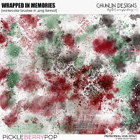 Wrapped in memories - watercolor brushes in .png format