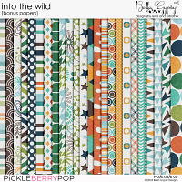 Into The Wild Bonus Papers