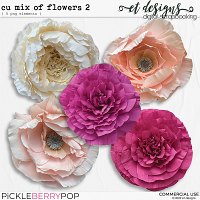 CU Mix of Flowers 2 by et designs