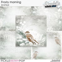 Frosty Morning (overlays) by Simplette