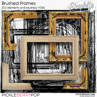 Brushed Frames (CU elements and brushes) 256 by Simplette