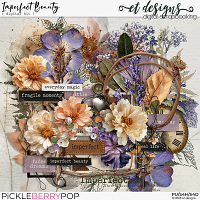 Imperfect Beauty Kit by et designs