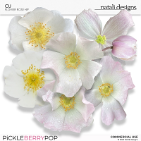 CU Flowers Rose Hip